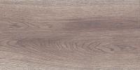 Wood коричневый 300 х 600 (2)