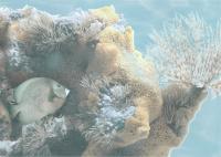 Panel Sea world 6 turquiose+350+250