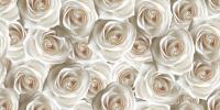Decor Camelia light beige+250+500
