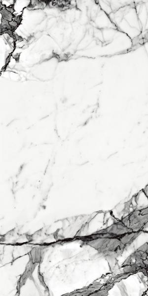 STATUARIO Stella High Gloass Polished Rect. 600x1200