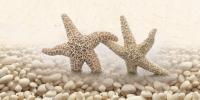 Decor Sardinia pebbles 4 white+600+300