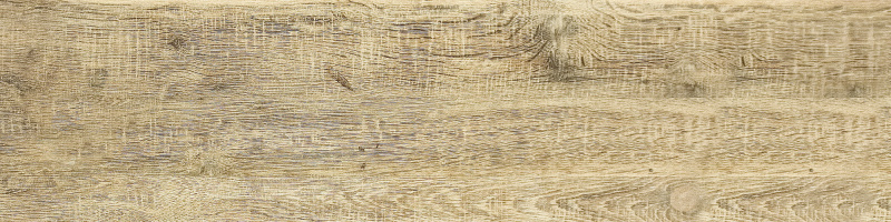 Oak GP pale 4+600+151