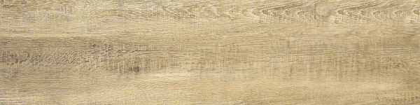 Oak GP pale 5+600+151