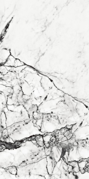 STATUARIO Stella High Gloass Polished Rect. 60x1200 (3)
